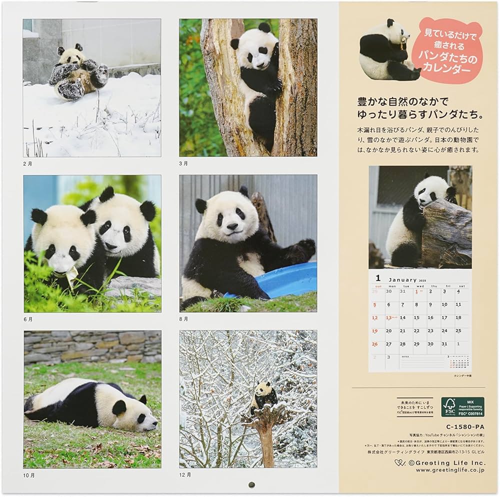 パンダページ Amazon.co.jp: グリーティングライフ 2025年 カレンダー パンダ 壁掛け